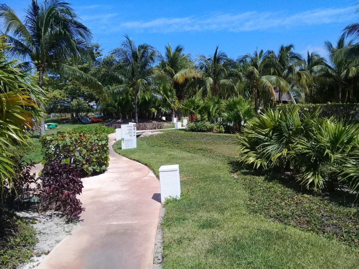 Swim The Caribbean & Work With A View Apartment แคนคูน ภายนอก รูปภาพ