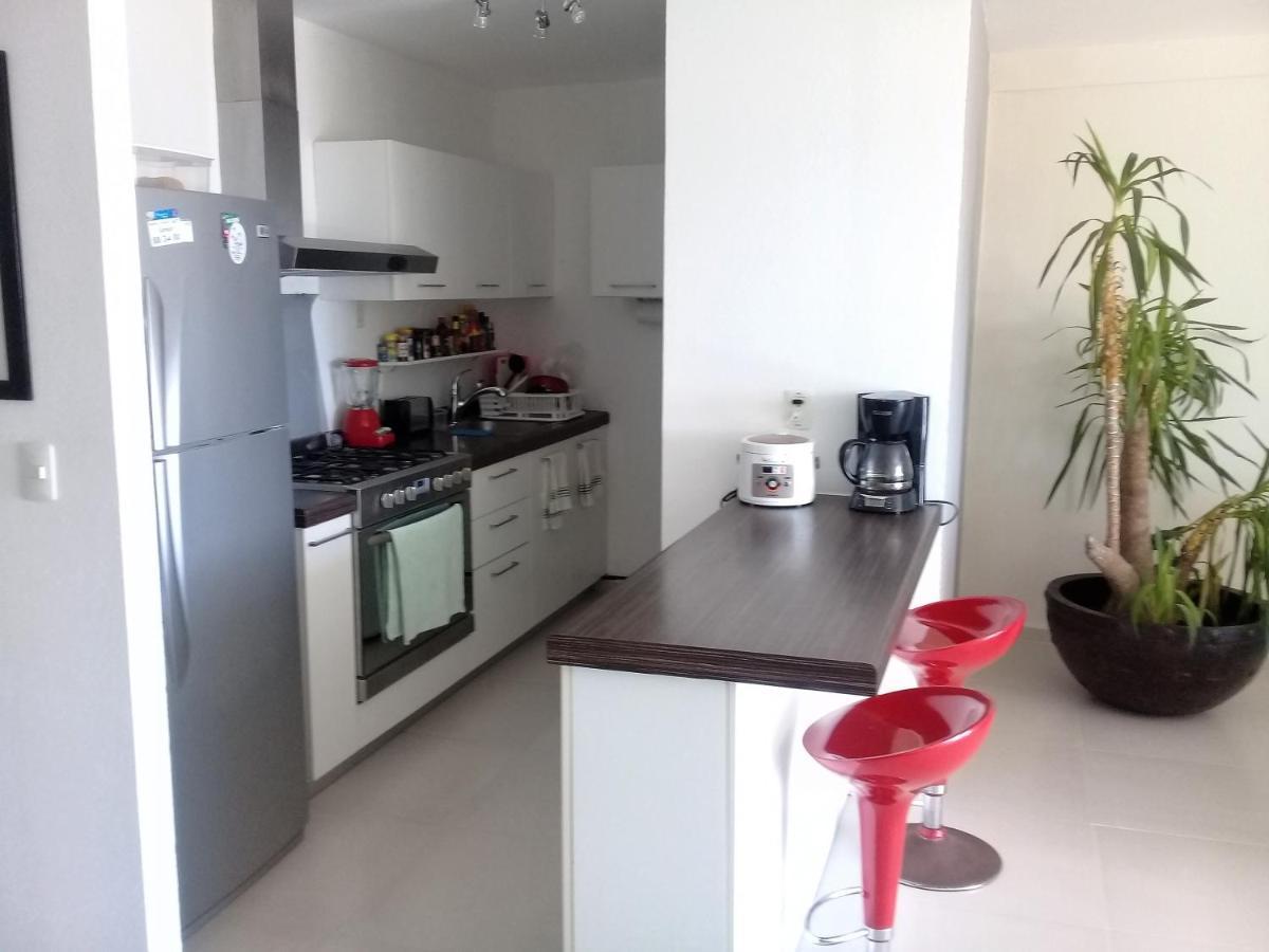 Swim The Caribbean & Work With A View Apartment แคนคูน ภายนอก รูปภาพ