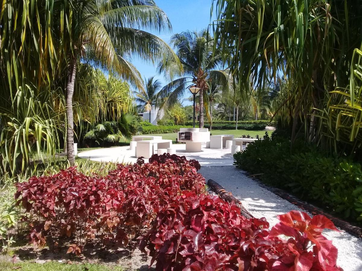 Swim The Caribbean & Work With A View Apartment แคนคูน ภายนอก รูปภาพ