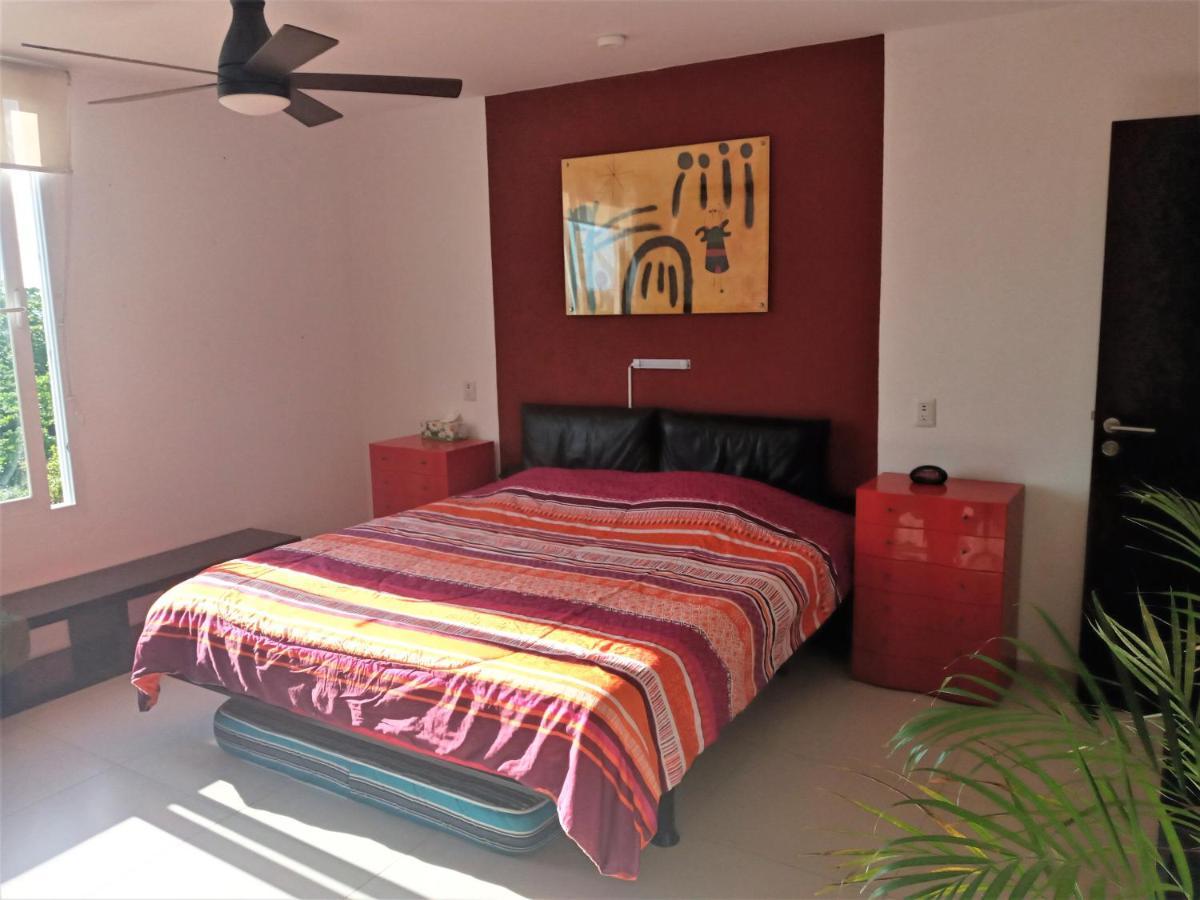 Swim The Caribbean & Work With A View Apartment แคนคูน ภายนอก รูปภาพ